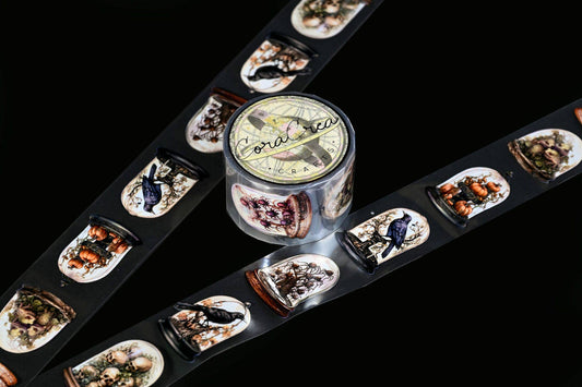 Specimen Display Domes Tapes